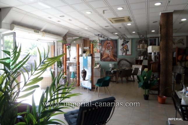 Inmobiliaria, Puerto de la Cruz, Tenerife
