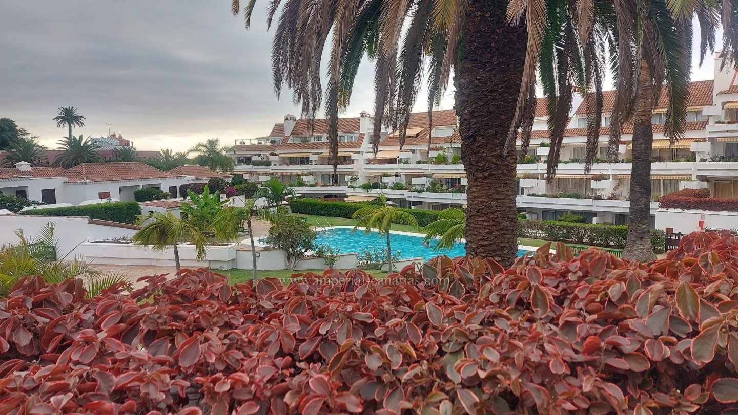 Inmobiliaria, Puerto de la Cruz, Tenerife