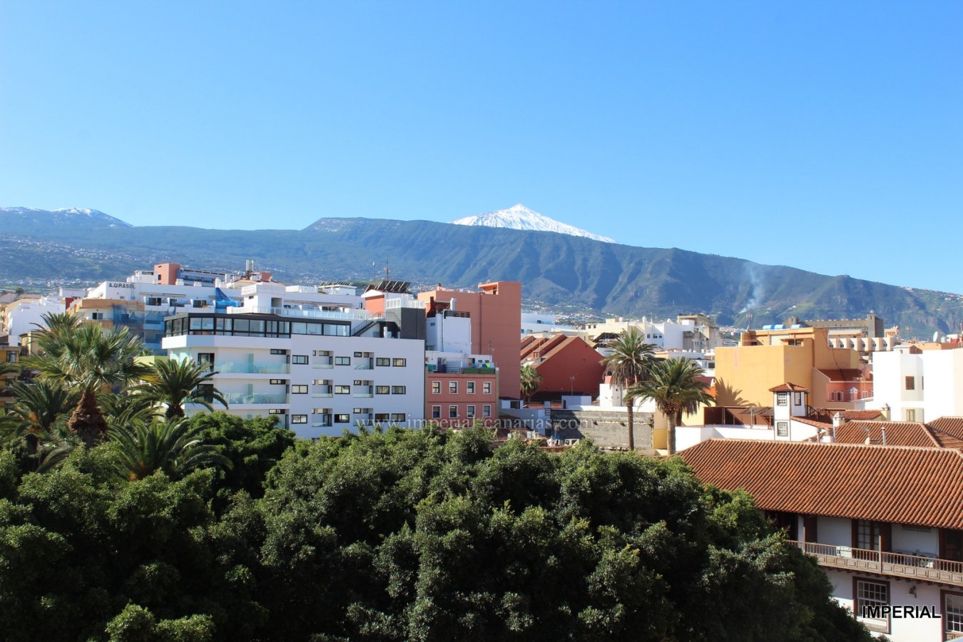 Inmobiliaria, Puerto de la Cruz, Tenerife