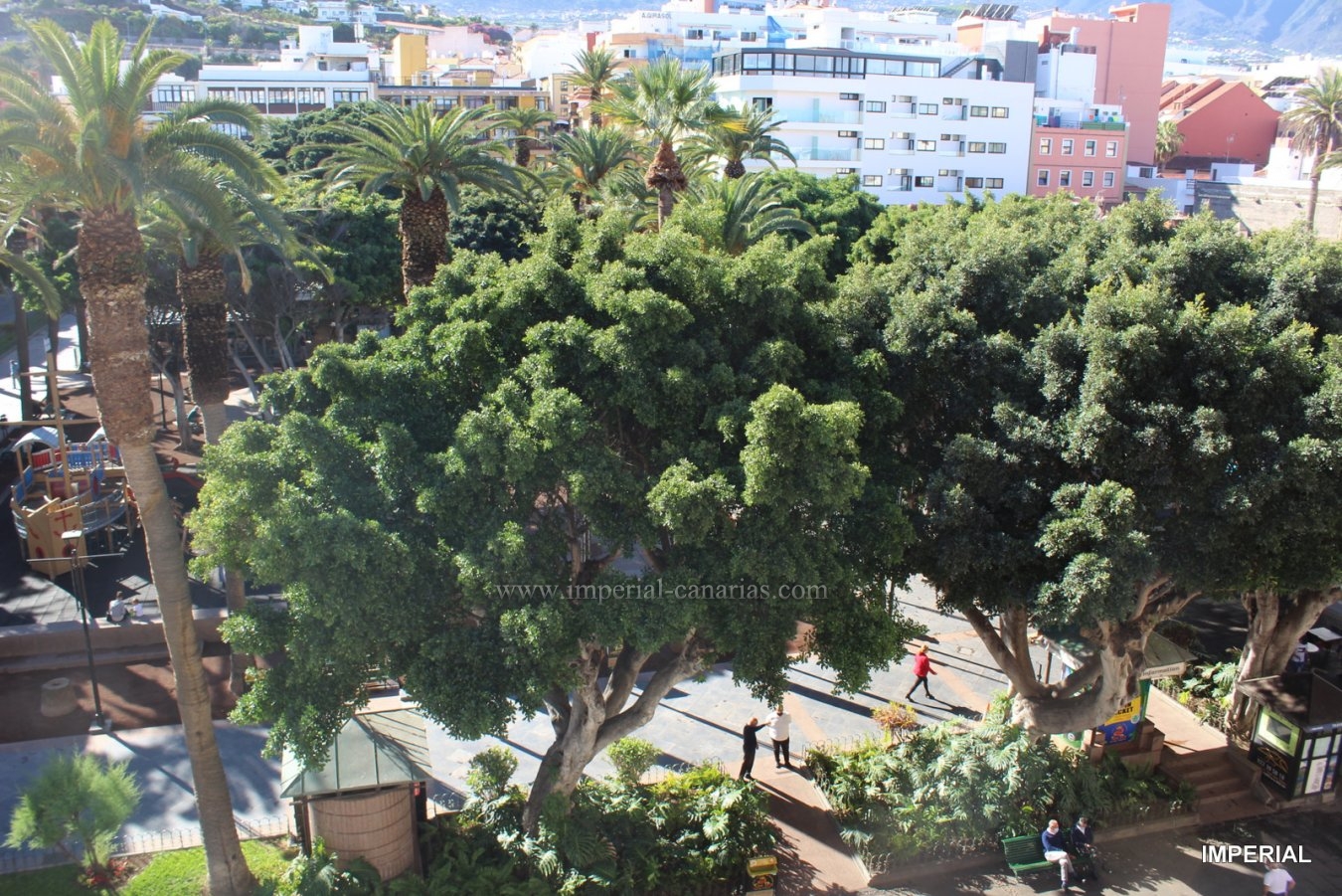 Inmobiliaria, Puerto de la Cruz, Tenerife