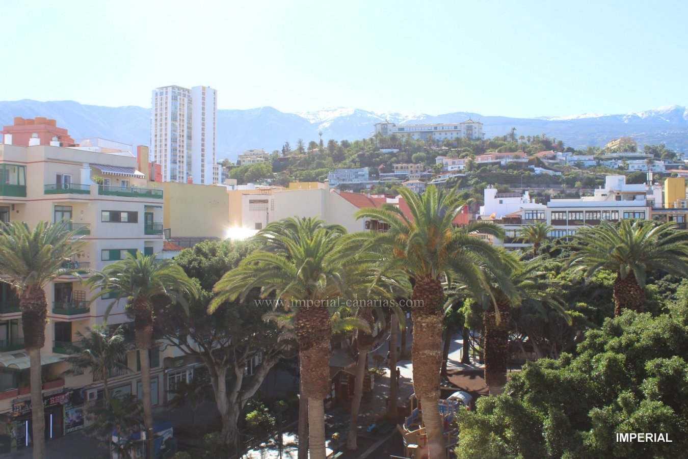 Inmobiliaria, Puerto de la Cruz, Tenerife