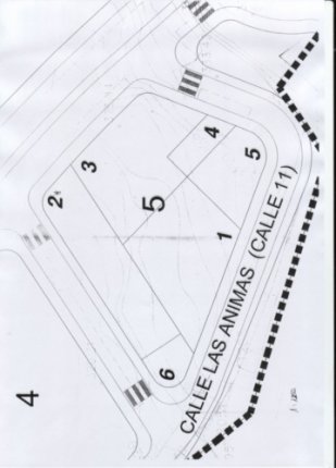 Inmobiliaria, Puerto de la Cruz, Tenerife