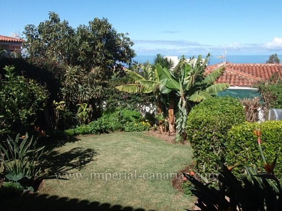 Inmobiliaria, Puerto de la Cruz, Tenerife